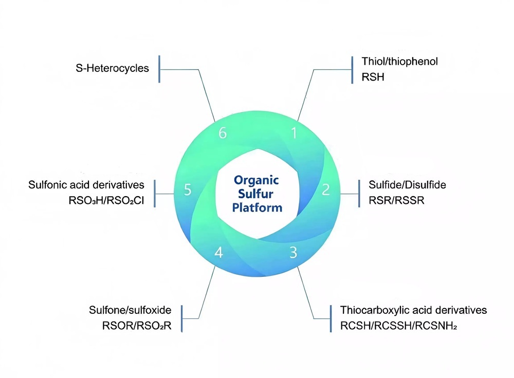 Organic Sulfur CDMO