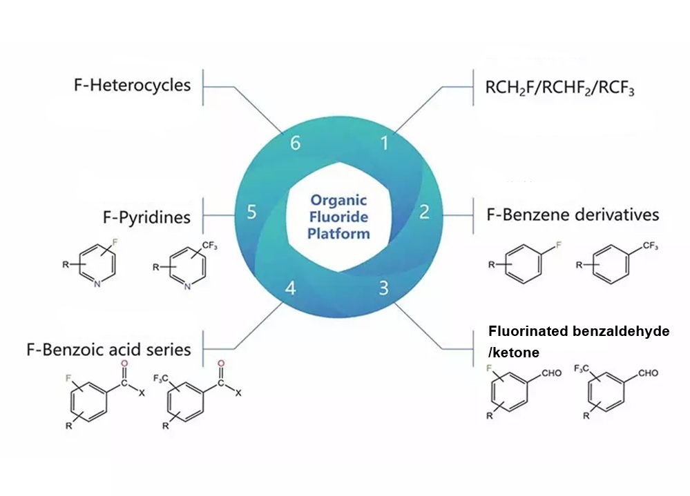 Organic Fluorine CDMO